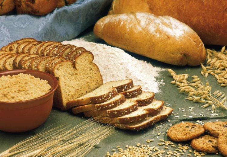 Blog Doc Lohse Brot - Grundnahrungsmittel oder Glutenbombe?