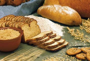 Brot - Grundnahrungsmittel oder Glutenbombe?