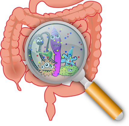 Mikrobiota- das richtige Futter für unseren Darmbakterien